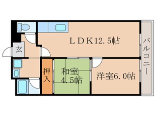 シャトー深草ファーストの物件間取画像